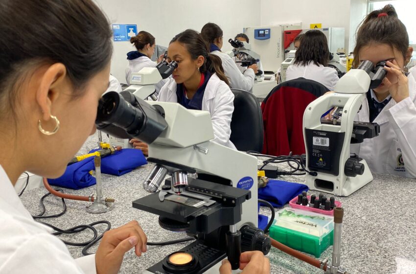  Estudiantes de colegios británicos de todo Chile exploraron la neurociencia en Encuentro Biología en la UNAB