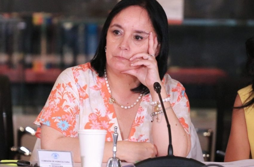  Senadora Republicana Carmen Aravena se refiere a carta de la organización contra la usurpación