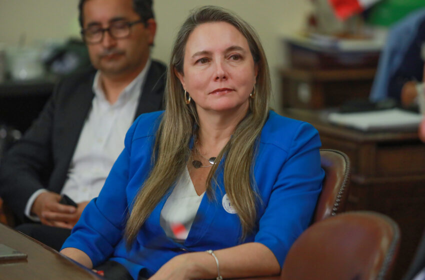  Diputada Catalina Del Real valoró disposición del Ministerio de Desarrollo Social para avanzar en “Ley Matías” y “Ley de Envejecimiento Activo”