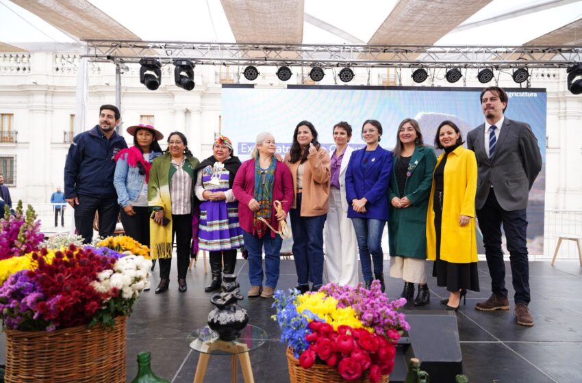  Arte y sabores del campo llegan a la Plaza de la Constitución con Expo Patrimonio Cultural Mujeres Rurales