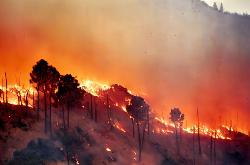  Incendios en la Región de Valparaíso y la amenaza silenciosa para la salud humana