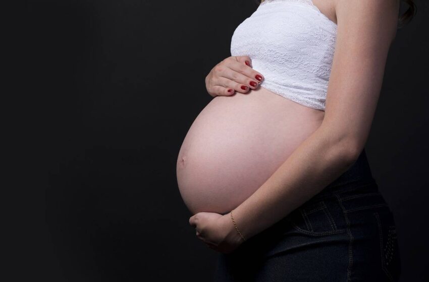  Salud Materna: La urgencia de evitar disruptores endocrinos en cosméticos durante el embarazo