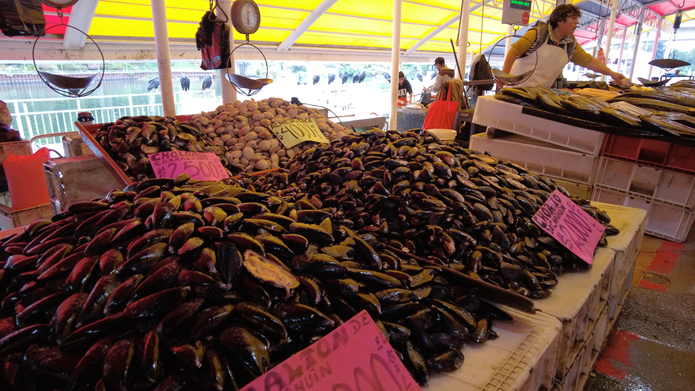  Recomendaciones para comprar pescados y mariscos en Semana Santa