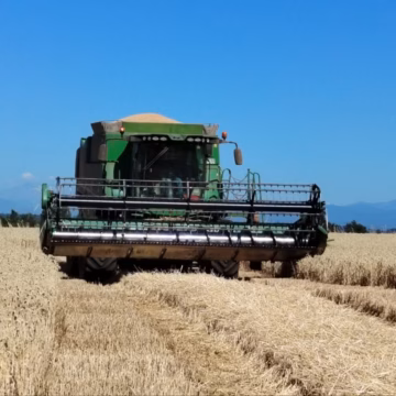 Consorcio Agrícola del Sur advierte grave crisis del agro y pide medidas urgentes al Gobierno
