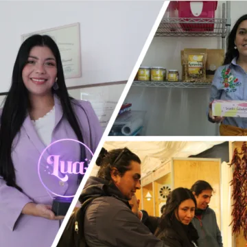 Chile Emprende: nueva plataforma reúne programas, subsidios y apoyo estatal para las Mipymes