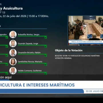 Ley Bruma Pesca artesanal reactiva demanda por una plataforma social tras temporal y avance de la «Ley Bruma»