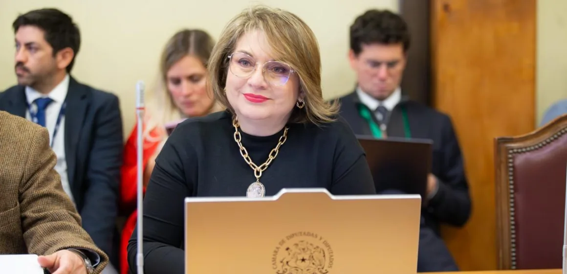Diputada Andrea Parra mantiene monitoreo en terreno tras emergencia por viento puelche en Lautaro