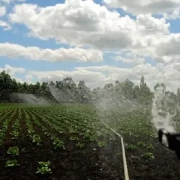 Consorcio Agrícola del Sur pide mayor inversión estatal en embalses tras dichos del ministro Jaime Campos