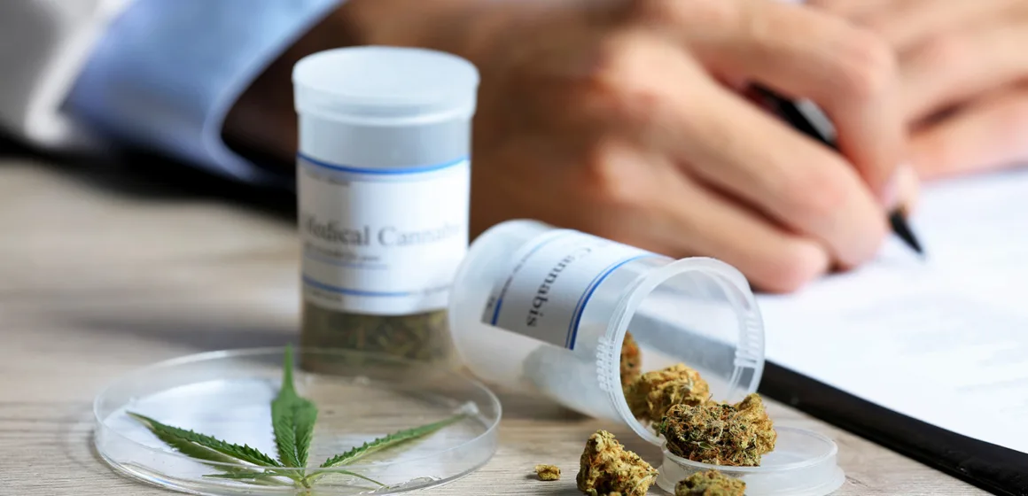 Cannabis medicinal en Chile: el tratamiento complementario que miles de pacientes oncológicos aún desconocen