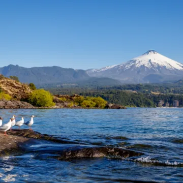Pucón celebra avance del Plan de Descontaminación del Lago Villarrica y llama a fortalecer el trabajo público-privado