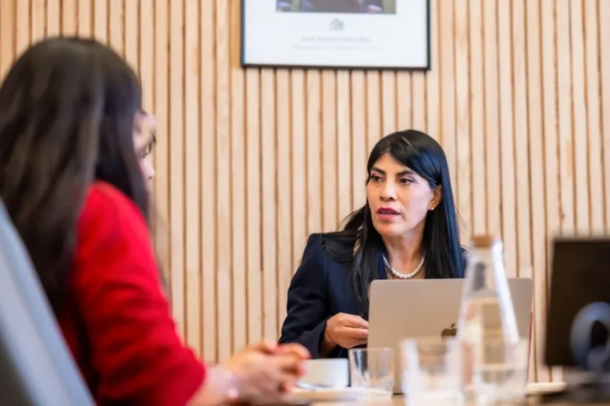 Gobierno detecta $92 mil millones en deudas de Becas Chile y anuncia modernización del programa