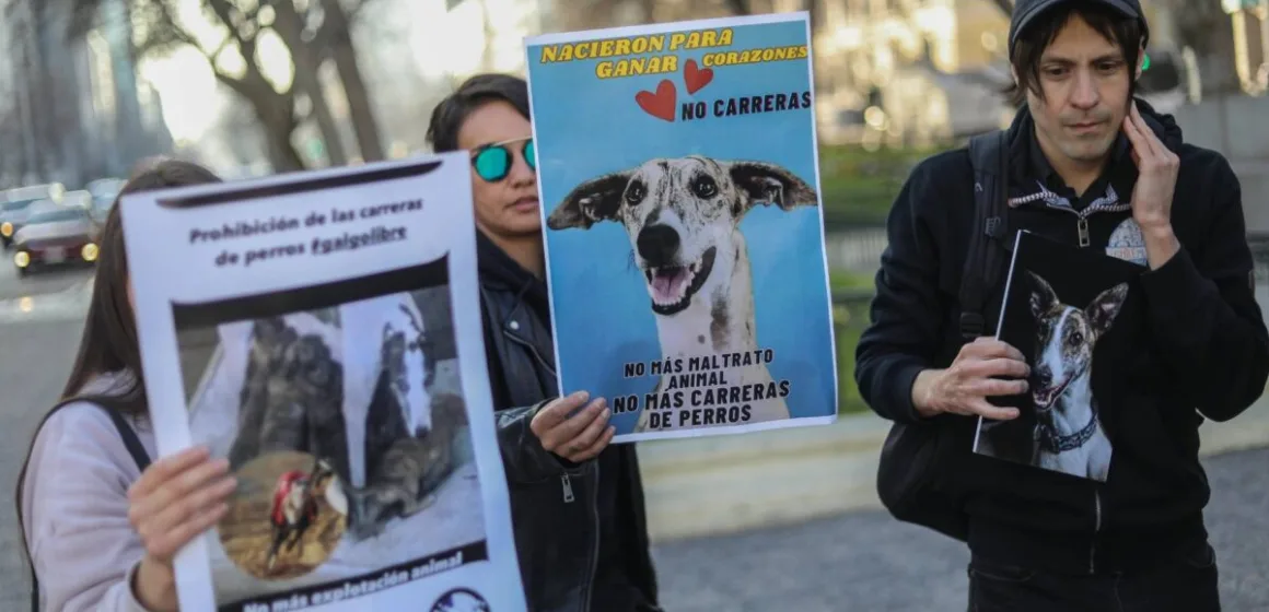 Carreras de galgos: Congreso retomará debate sobre su prohibición este 18 de agosto