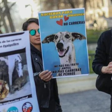 Carreras de galgos: Congreso retomará debate sobre su prohibición este 18 de agosto