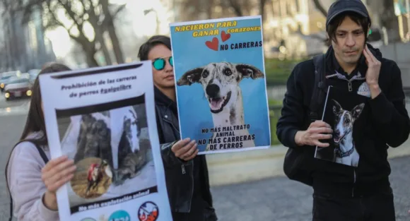 imagen_2026-08-16_120944020 Carreras de galgos: Congreso retomará debate sobre su prohibición este 18 de agosto