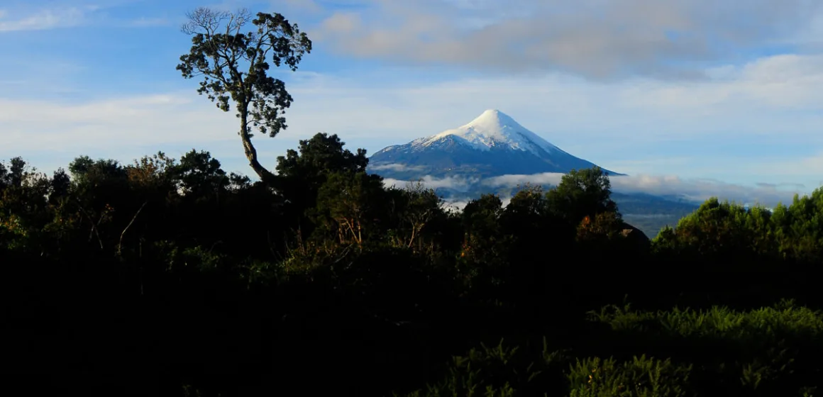 Foto: Parque Nacional Vicente Pérez Rosales / Agencia Uno