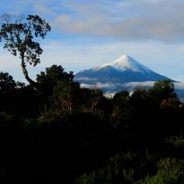 Foto: Parque Nacional Vicente Pérez Rosales / Agencia Uno