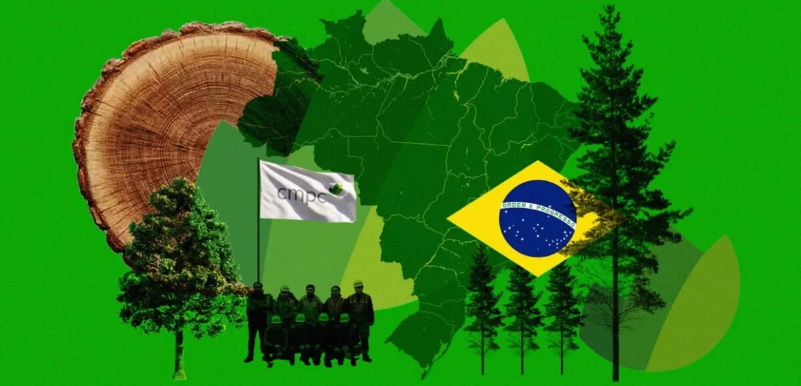 CMPC enfrenta un doble desafío en Brasil: trabas ambientales y caída del precio de la celulosa