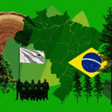 CMPC enfrenta un doble desafío en Brasil: trabas ambientales y caída del precio de la celulosa