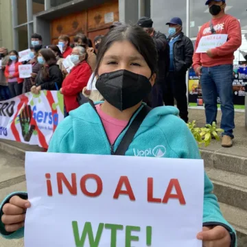 WTE Araucanía: Tribunal Ambiental prepara sentencia sobre planta para tratar residuos en Lautaro