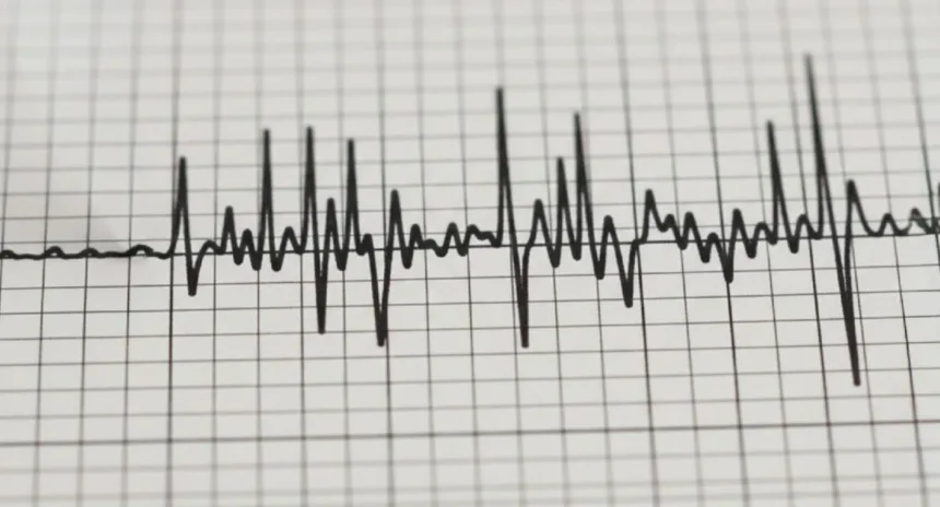 Sismo de magnitud 4,8 se percibió en Valparaíso, O’Higgins y la Región Metropolitana